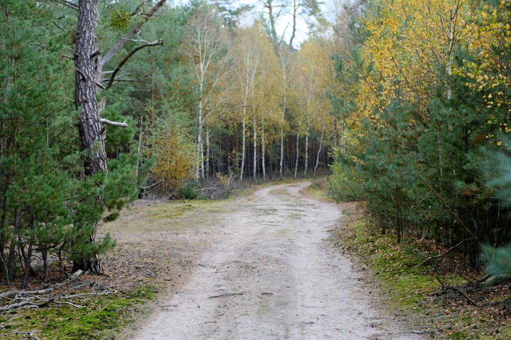 Peace in the&nbsp;path…